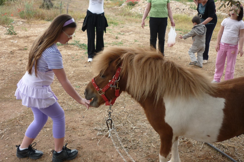 Una bambina socializza con il pony Una bambina socializza con il pony